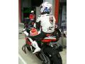 Cerny_Imola3.jpg